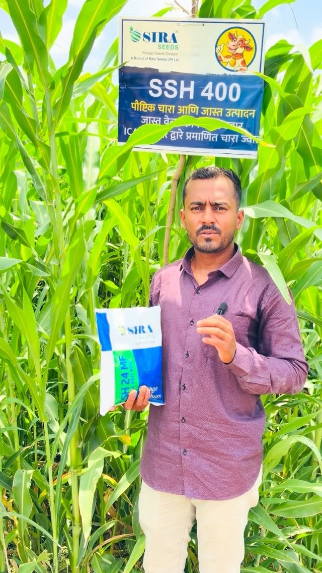 siraseedsforage 게시물 이미지: नमस्कार! 📲 9673641200
SSH400 (मल्टी कट...