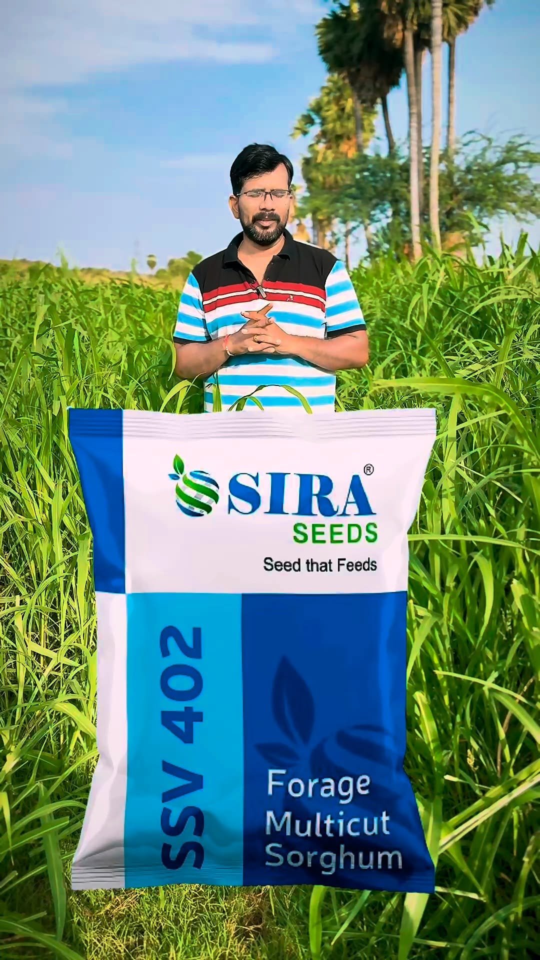 siraseedsforage 게시물 이미지: SSV 402 - అత్యుత్తమ మొలక శాతం, త్వరగా...