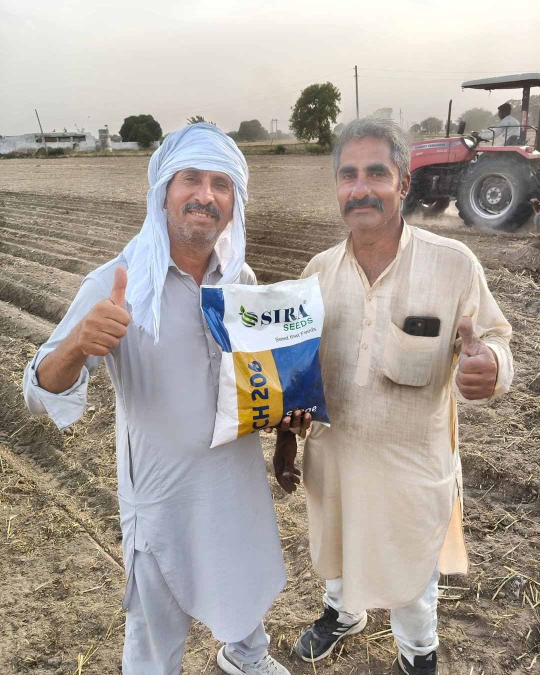 Photo by Sira Seeds on April 26, 2026. May be an image of plant and text that says 'SSIRA Gend exal Kat SEEDS SEEDS Feeds dS H206 盗'.