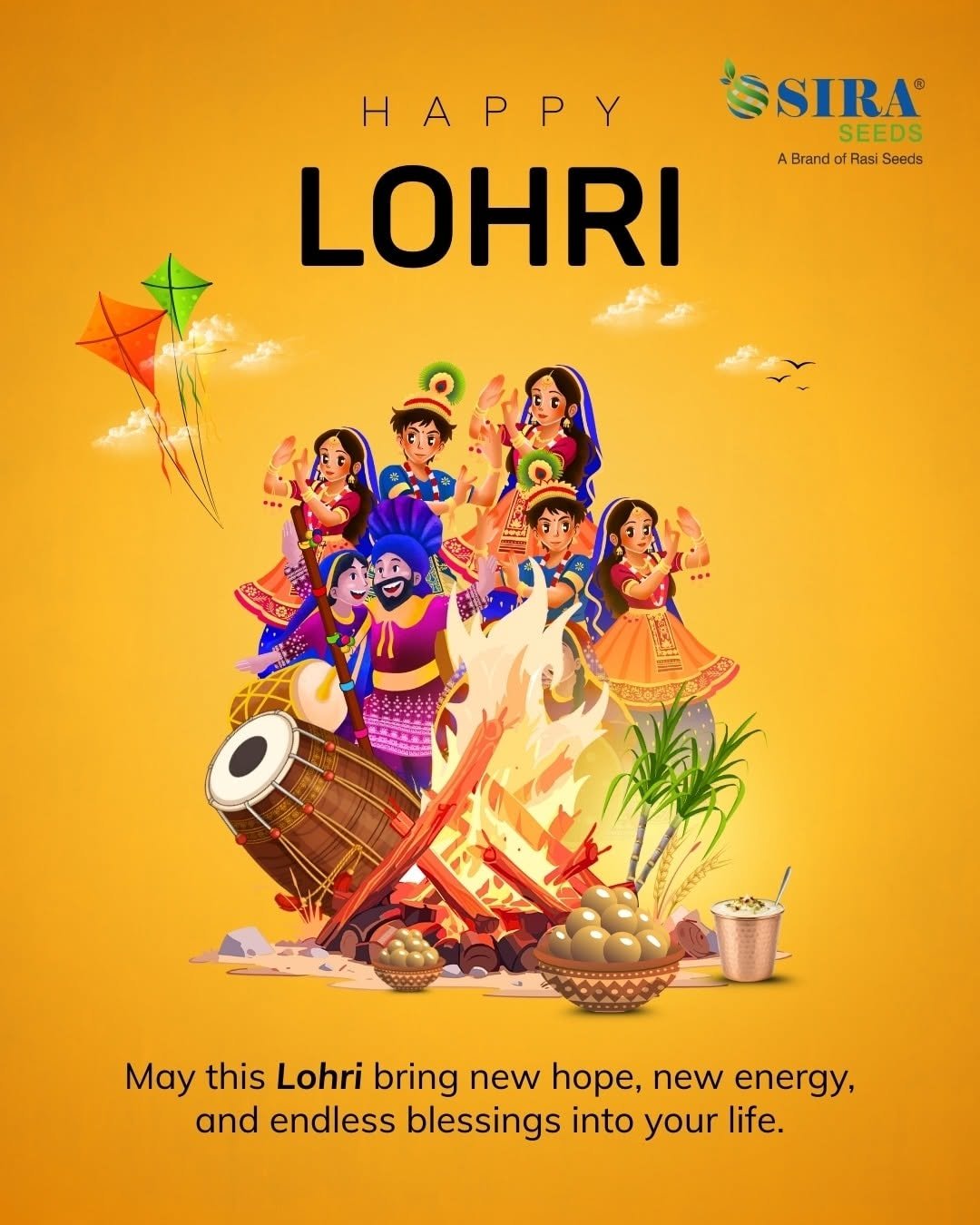 Photo by Sira Seeds on January 13, 2026. May be a cartoon of poster and text that says 'SIRA® SEEDS A Brand Rasi Seeds HAPPY LOHRI 发酒公 May this Lohri bring new hope, new energy, and endless blessings into your life.'.