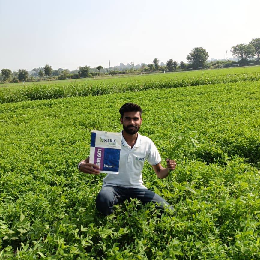 Photo by Sira Seeds on December 02, 2025. May be an image of text.