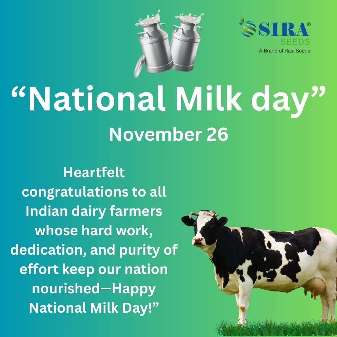 Photo by Sira Seeds on November 26, 2025. May be an image of milk and text that says 'SSIRA SIRA® SEEDS A ABrandofRasiSeeds Brand ofRas Rasi Seeds "National Milk day" November 26 Heartfelt congratulations to all Indian dairy farmers whose hard work, dedication, and purity of effort keep our nation nourished-Happy National Milk Day!"'.
