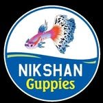 guppiesnikshan 프로필 사진