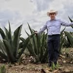 napoleongonzalezperez 프로필 사진