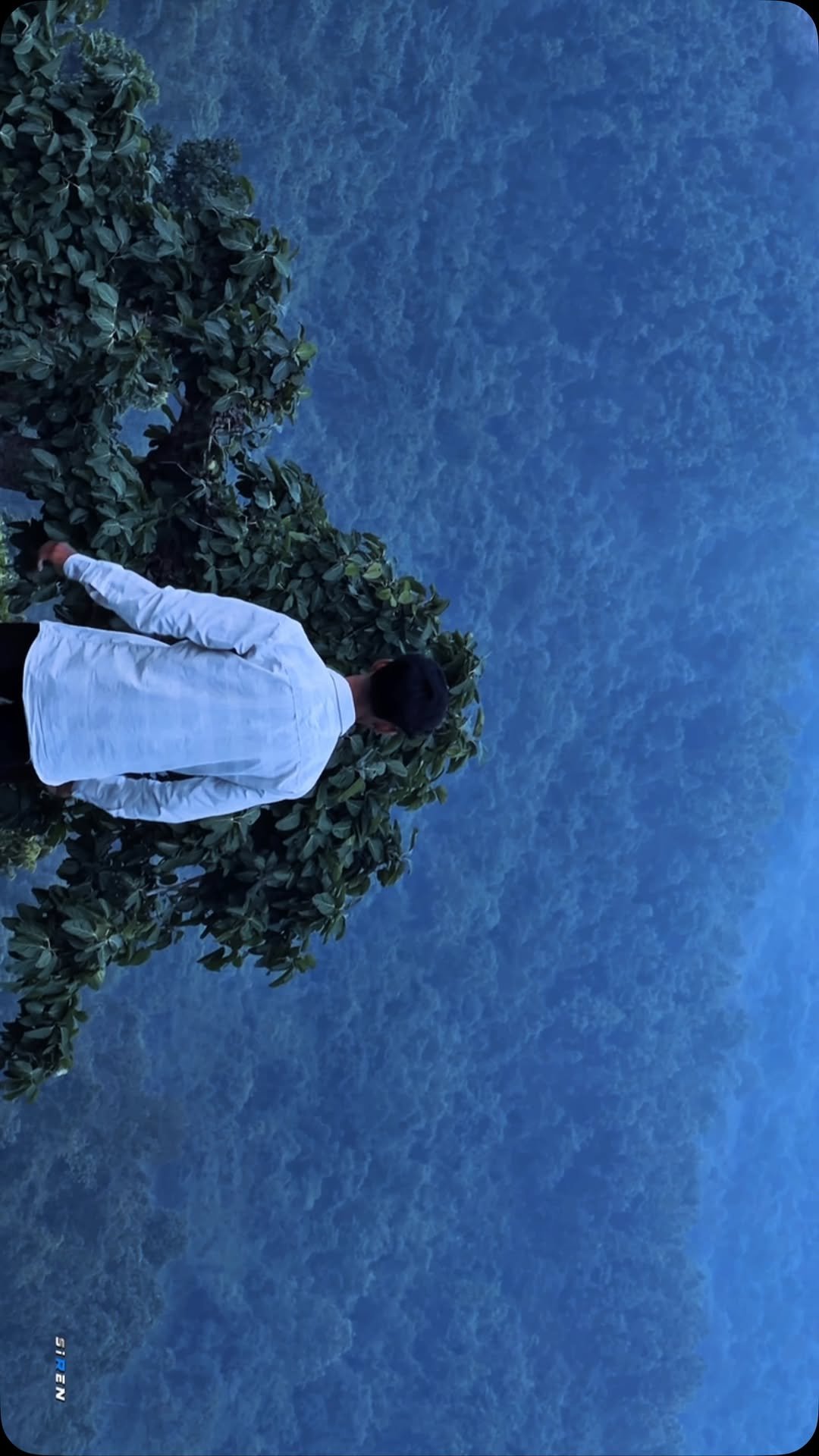 siren_390_ 게시물 이미지: Main Bhaga Bhaga .
.

.

#reelitfeelit...