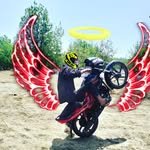 little_jaanu_stunts_ 프로필 사진