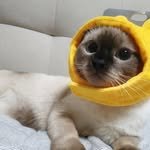 berry__1015 프로필 사진