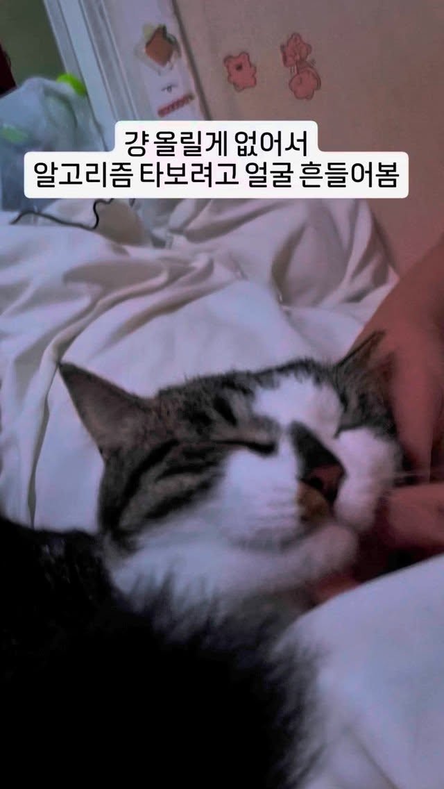 siru.co.kr 게시물 이미지: 왜요?