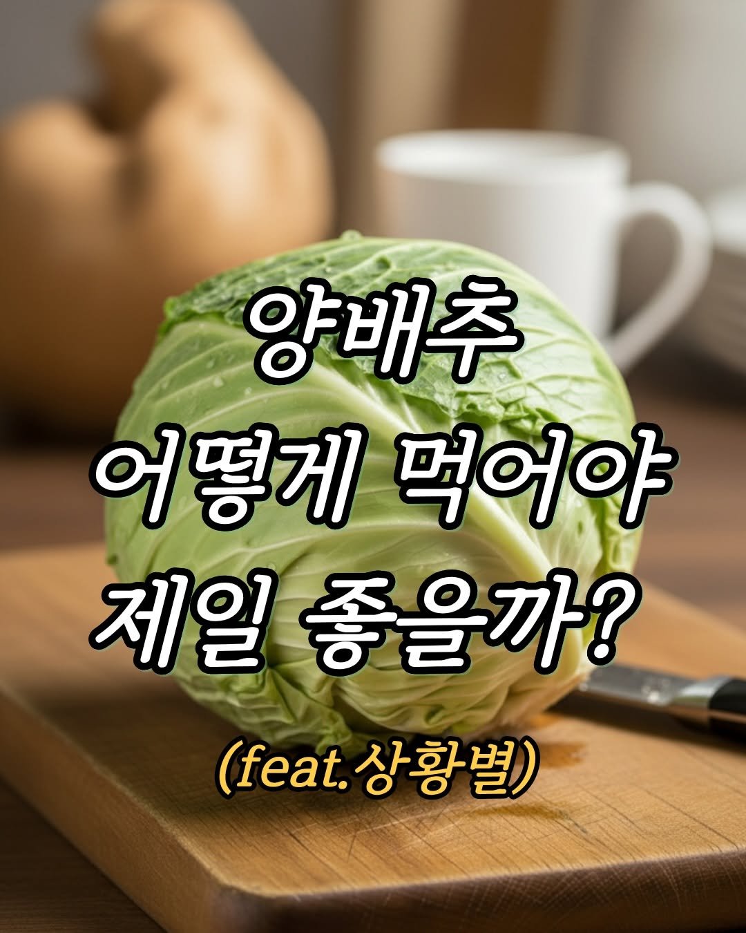 sistersayss 게시물 이미지: 양배추 좋다고 해서
무조건 생으로 드셨다면… 🥬

✔ 속 쓰림
✔ 더부룩함
✔ 가스...