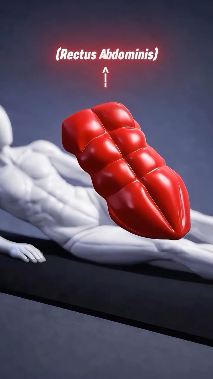sixpackfemmes 게시물 이미지: Lazy Ab Workout 

Simple moves. Real core...