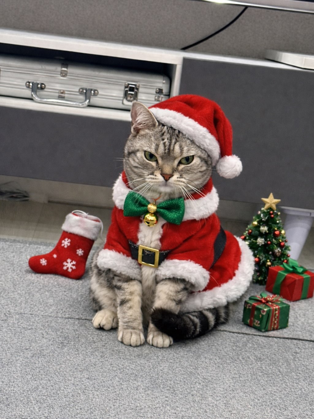 Photo by 곽시양 on December 23, 2025.