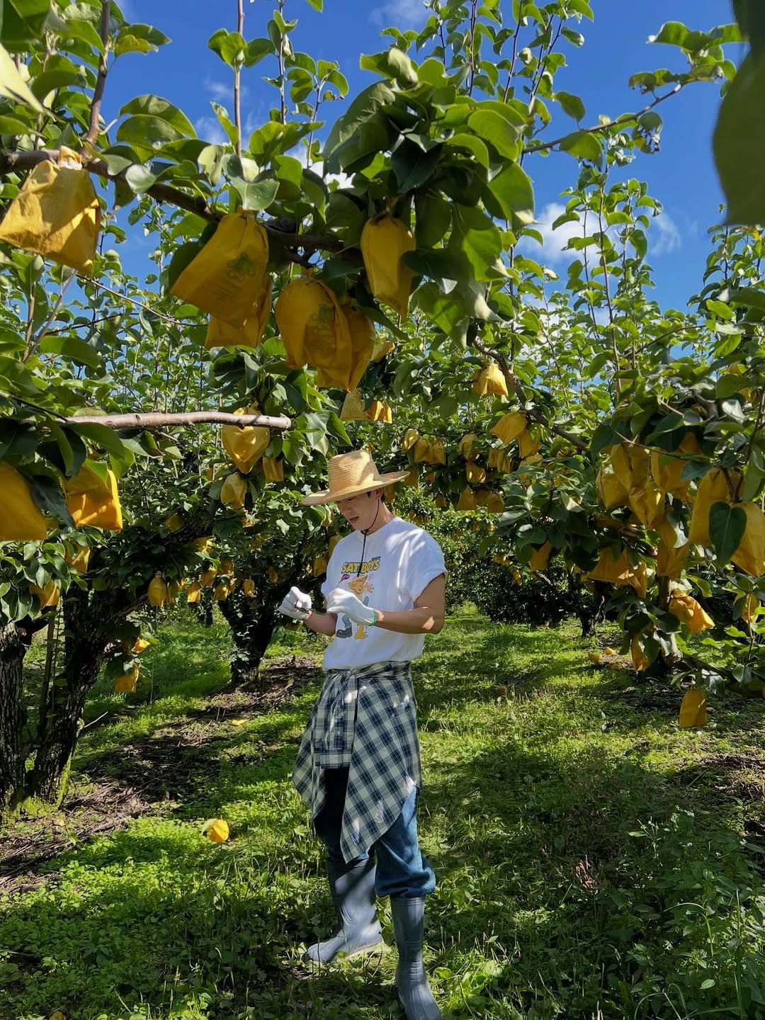 Photo by 곽시양 on December 23, 2025.