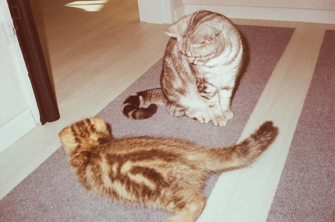 Photo by 곽시양 on December 04, 2025.