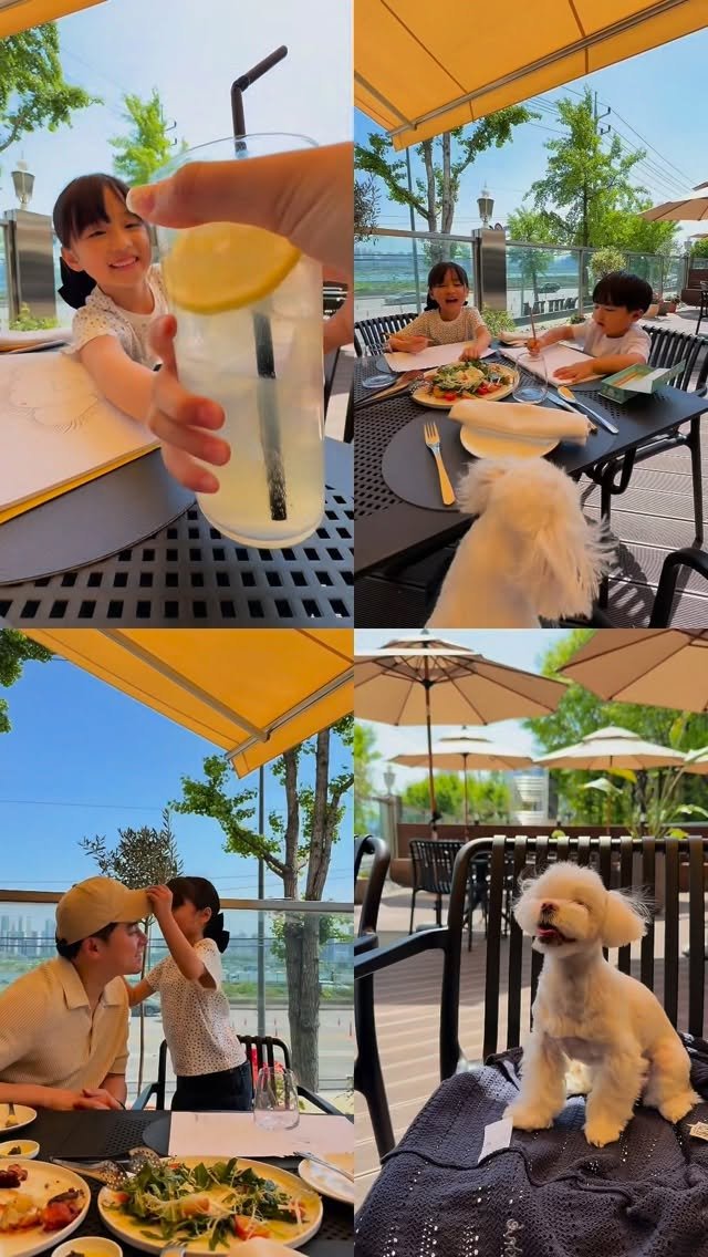 sjingg_ 게시물 이미지: 주말의 애개육아
그런데 어쩌면 엄마가 제일 애인..

그동안 갈고 닦은 뽑기...