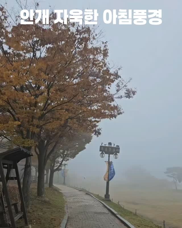 sjnmuseum 게시물 이미지: 🎬 안개 자욱한 아침

고요한 안개 사이로 가을빛이 스며드는 아침, 석장리 유적의...