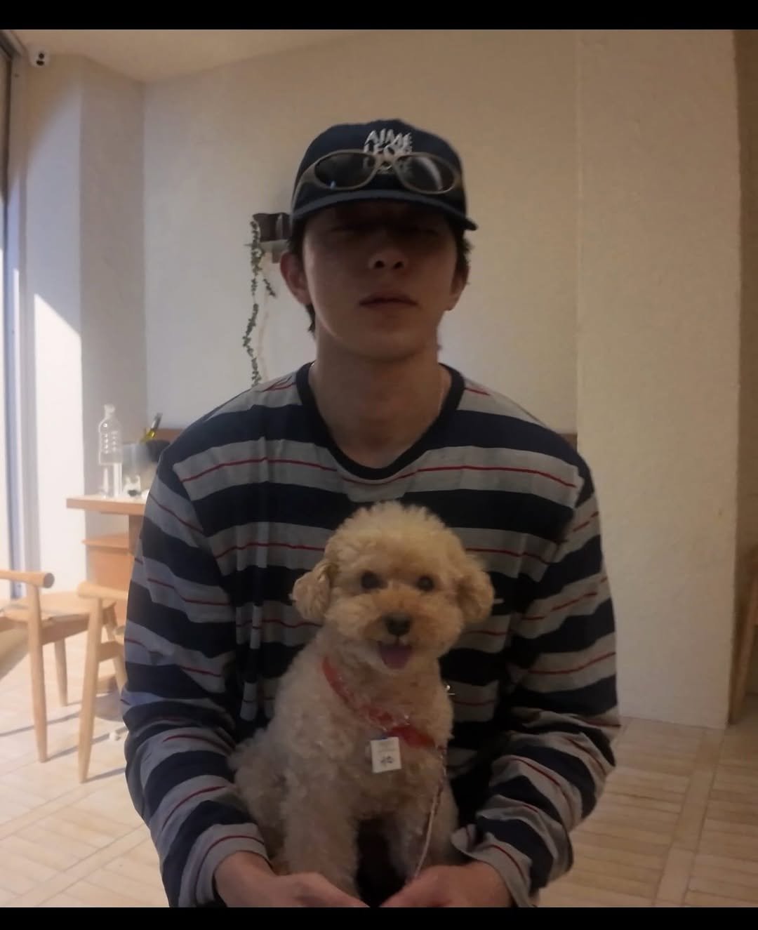 Photo by 남주혁 on January 07, 2026. May be an image of chihuahua, Maltese and hat.