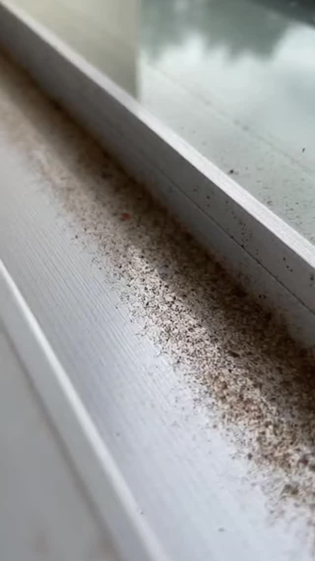 skill_panda_ 게시물 이미지: Cleaning RestoreAndShine BeforeAfter

Cleaning...