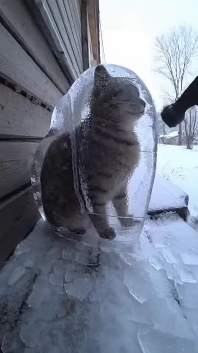 skill_panda_ 게시물 이미지: 