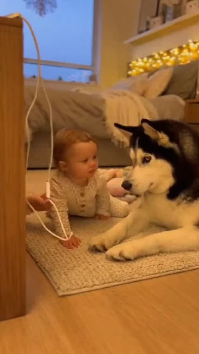 skill_panda_ 게시물 이미지: Smartphone Charger Cord!