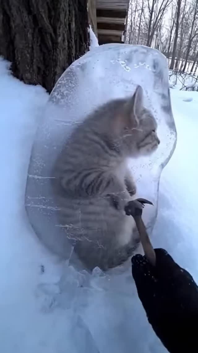 skill_panda_ 게시물 이미지: 