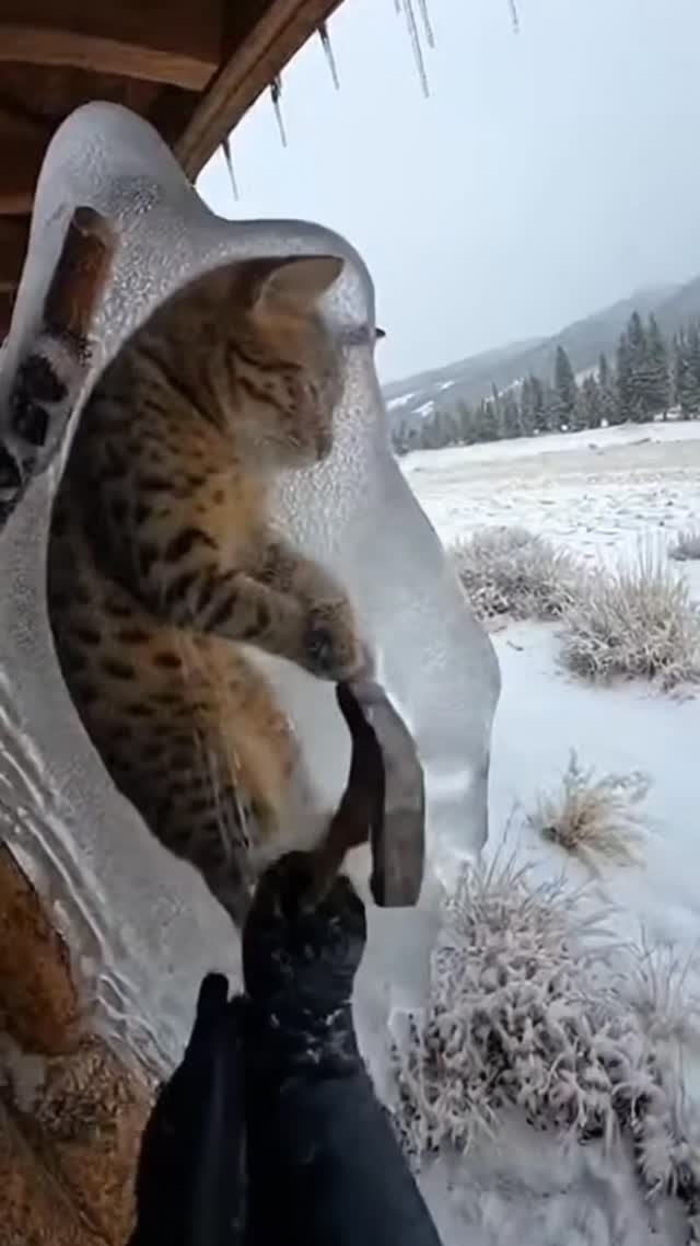 skill_panda_ 게시물 이미지: 