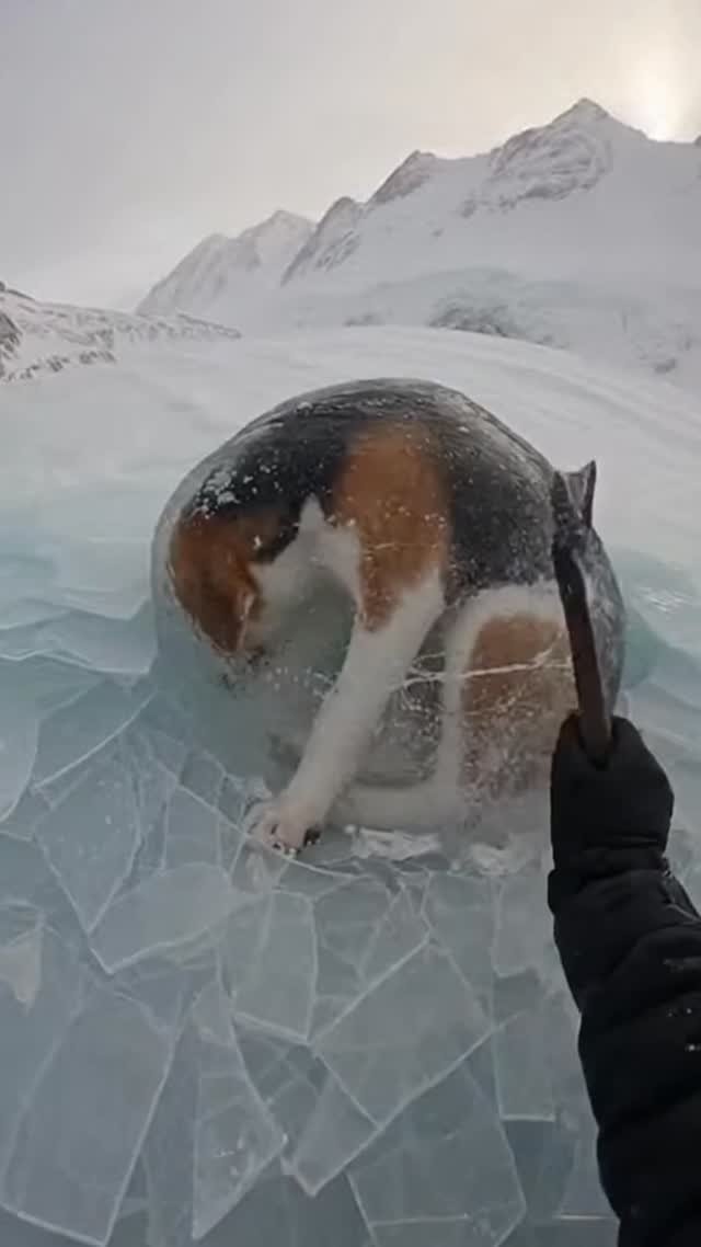 skill_panda_ 게시물 이미지: 