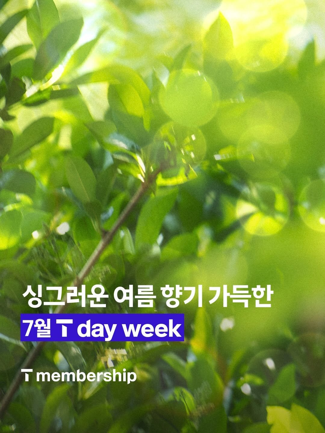 sktelecom 게시물 이미지: 싱그러운 여름 향기 가득한
7월 T day week 혜택이 도착했어요!...