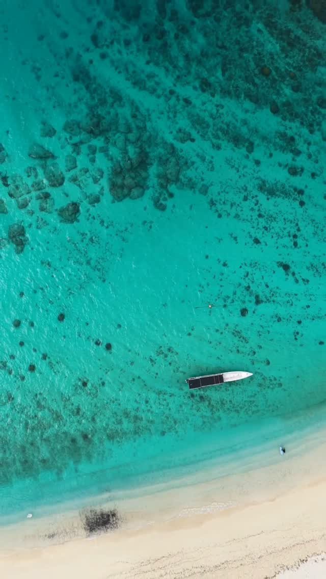 skymonkey5 게시물 이미지: Mentawai islands 🇮🇩

■■■■■■■■■■■■

Like surf...