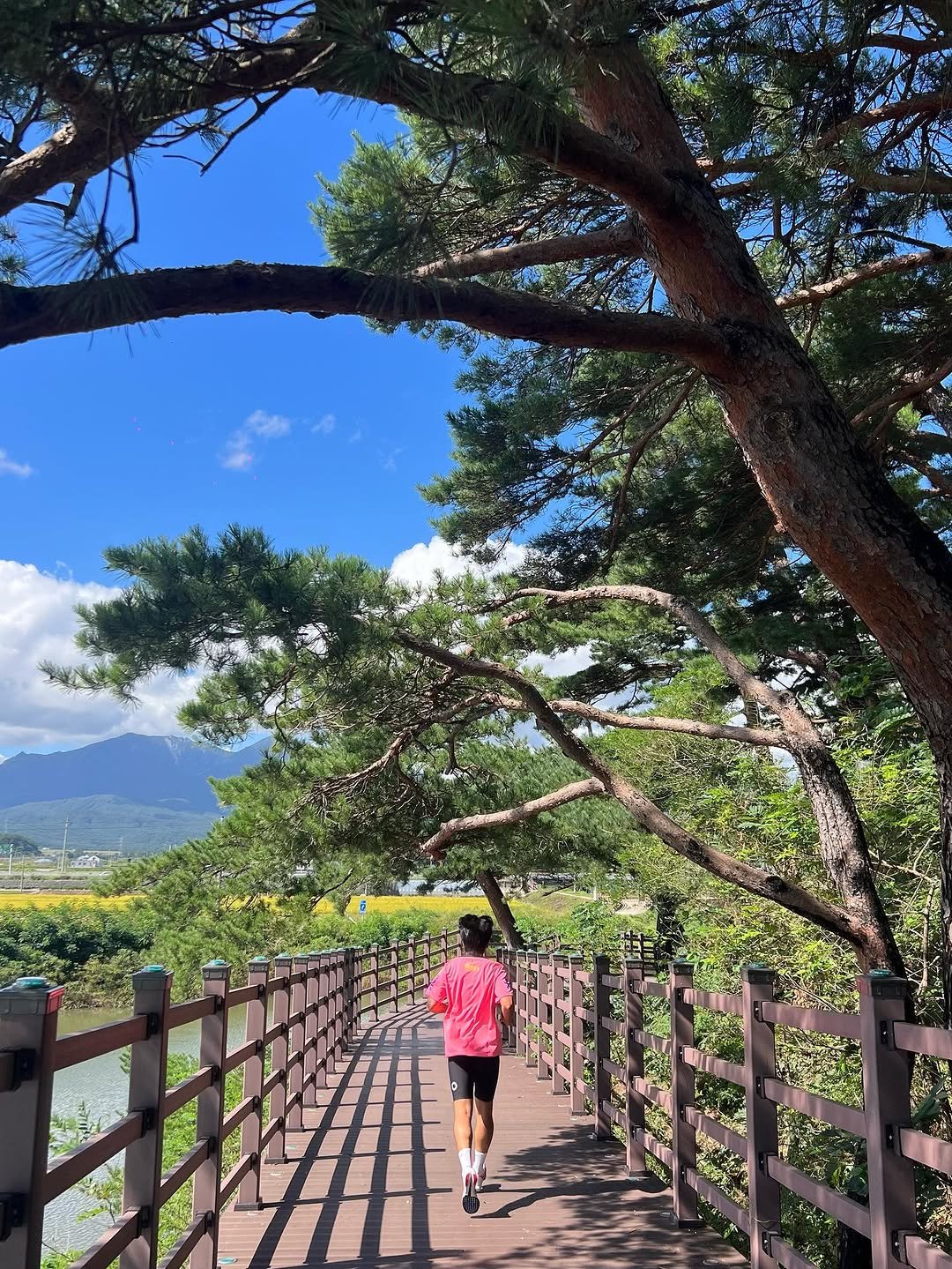 Photo by 이승호 on September 23, 2025. May be an image of 1 person, park, bridge and text.