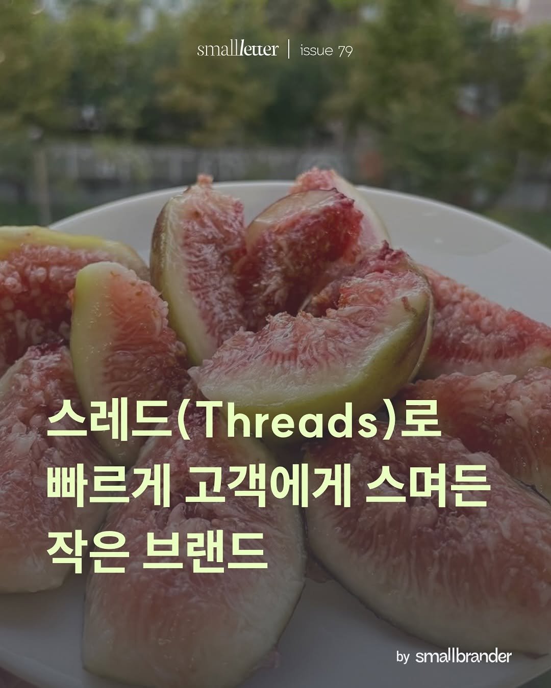 Photo by 스몰브랜더 on July 28, 2025. May be an image of fig and text that says 'smallletter smalletter|issue7 issue issue79 79 스레드( 레드(Threads)토 hreads 로 빠르게 고객에게 스며든 작은 브랜드 by smallbrander small'.