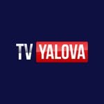 tvyalova 프로필 사진