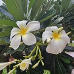 eunji_park83 프로필 사진