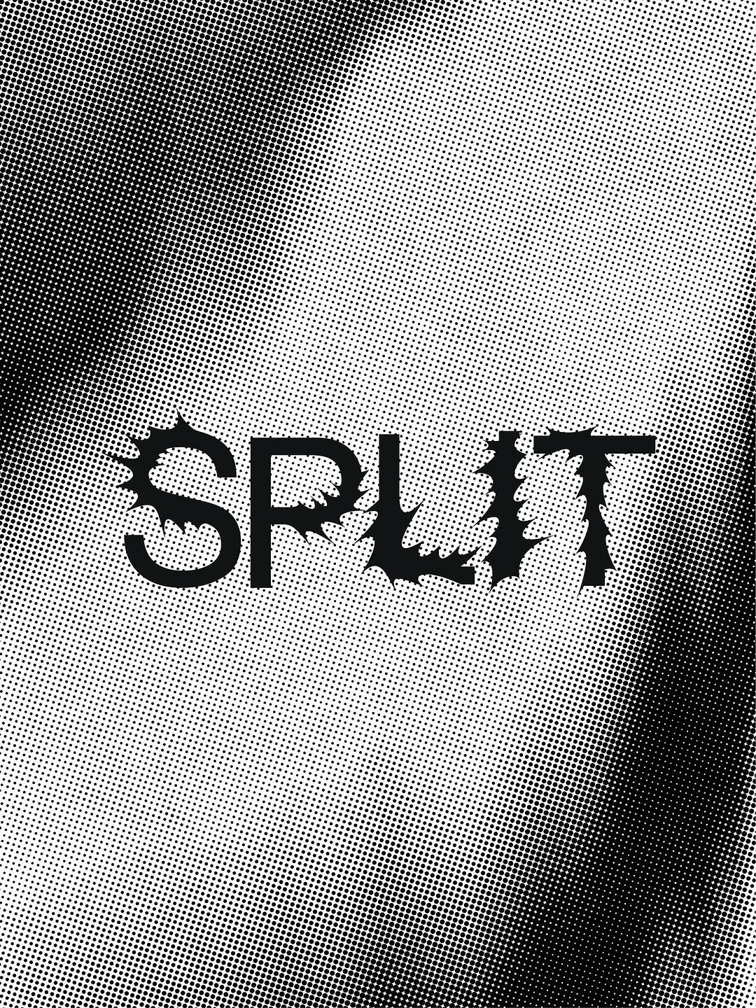 Photo shared by Phillip K on August 07, 2025 tagging @smileflower.club. May be an image of poster and text that says 'SPLIT SPLIT'.