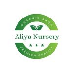 aliyanursery 프로필 사진