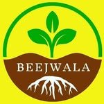 beejwalaindia 프로필 사진