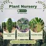 plant_nursery___ 프로필 사진
