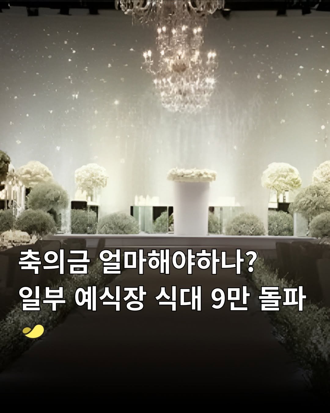 Photo by 스낵경제ㅣ경제 큐레이터 on January 30, 2026. May be an image of candle holder, baby's-breath and text that says '축의금 얼마해야하나? 일부 예식장 식대 9만 돌파'.