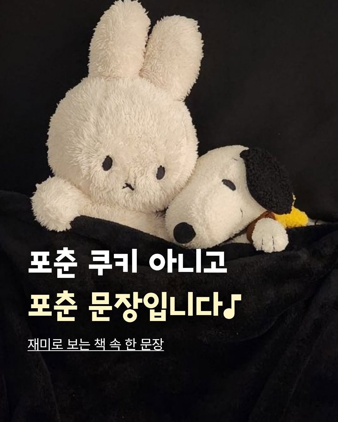snowfoxbooks 게시물 이미지: 띵동!
포춘 쿠키 아니고, 포춘 문장 배달 왔습니다-!

재미로 보는 책 속 한...