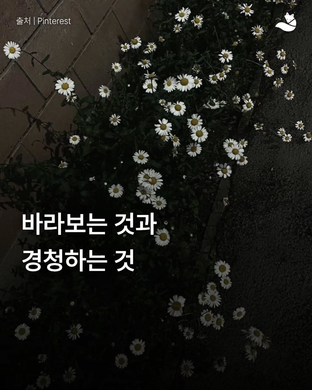 Photo by 출판사 스노우폭스북스 공식 인스타그램 on April 25, 2026. May be an image of baby's-breath and text that says '출서|Pinerest Pinterest 출처 바라보는 것과 경청하는 것'.