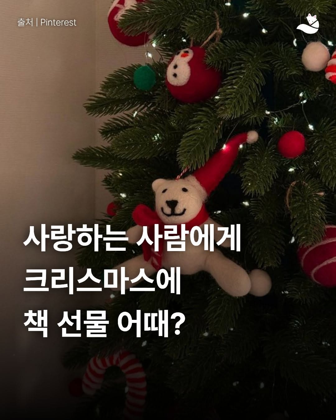 Photo by 출판사 스노우폭스북스 공식 인스타그램 on December 15, 2025. May be an image of baby's-breath and text that says '출처|Pinterest 출처 Pinterest 사랑하는 사람에게 크리스마스에 책 선물 어때?'.