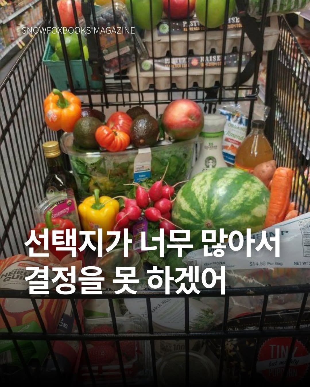 Photo by 출판사 스노우폭스북스 공식 인스타그램 on August 02, 2025. May be an image of vegetable and text that says 'SNOWFOXBOOKS MAGAZINE 1Sk DIDA 3pHr AISE kmend 35 節志禁 屋 선택지가 너무 많아서 결정을 못 하겠어 $14.99 Bag S14.90PcrBag Sag NET WT'.