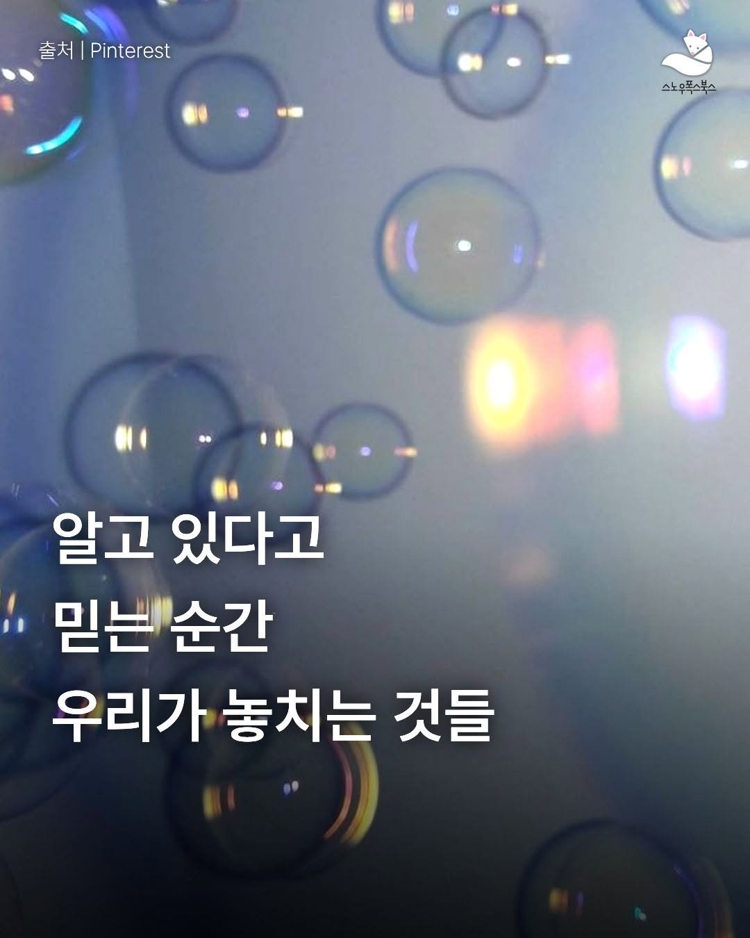 Photo by 출판사 스노우폭스북스 공식 인스타그램 on April 28, 2026. May be an image of ‎text that says '‎查︱Pinterest 출처 Pinterest 스노무 스노우폭스부스 스포스 س 00 알고 있다고 믿는순간 믿는 순간 우리가 놓치는 것들‎'‎.