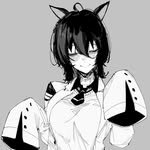 holosolus 프로필 사진
