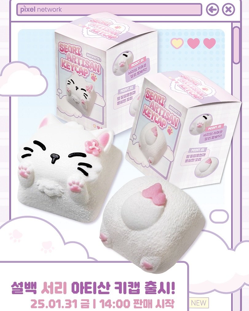 Photo by 설백 on February 01, 2025.