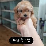 muncangig2548 프로필 사진