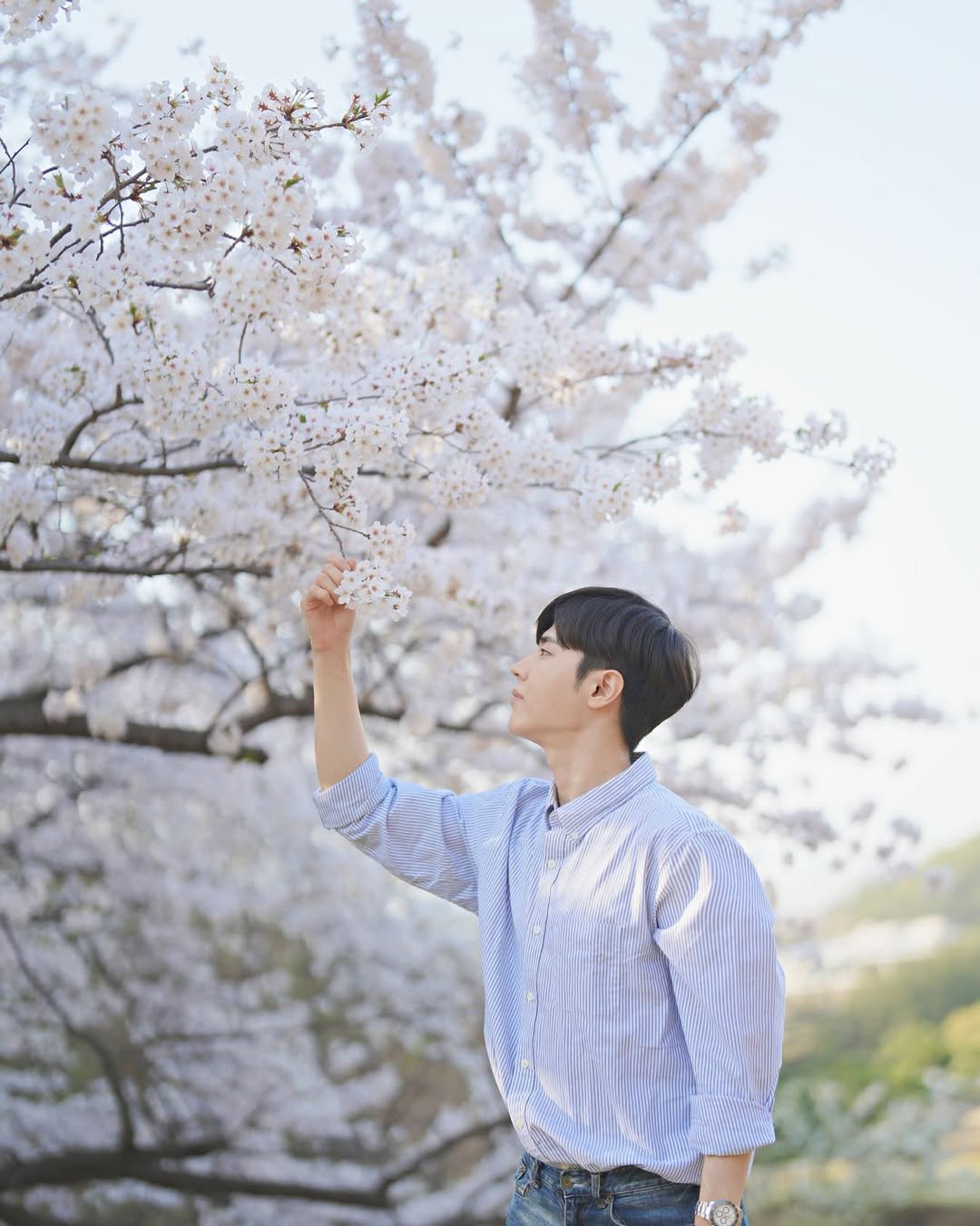 Photo by 서울대 김보훈 SNUmentor in 서울대학교 버들골 풍산마당.