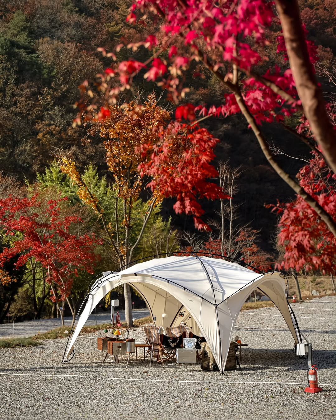 Photo shared by 러블리연 | 늘 함께하는 가족 캠핑 👨‍👩‍👦‍👦
감성캠핑▪️캠핑정보▪️캠핑장▪️여행 on November 09, 2025 tagging @campingkan.kr. May be an image of tent, outdoors and text.