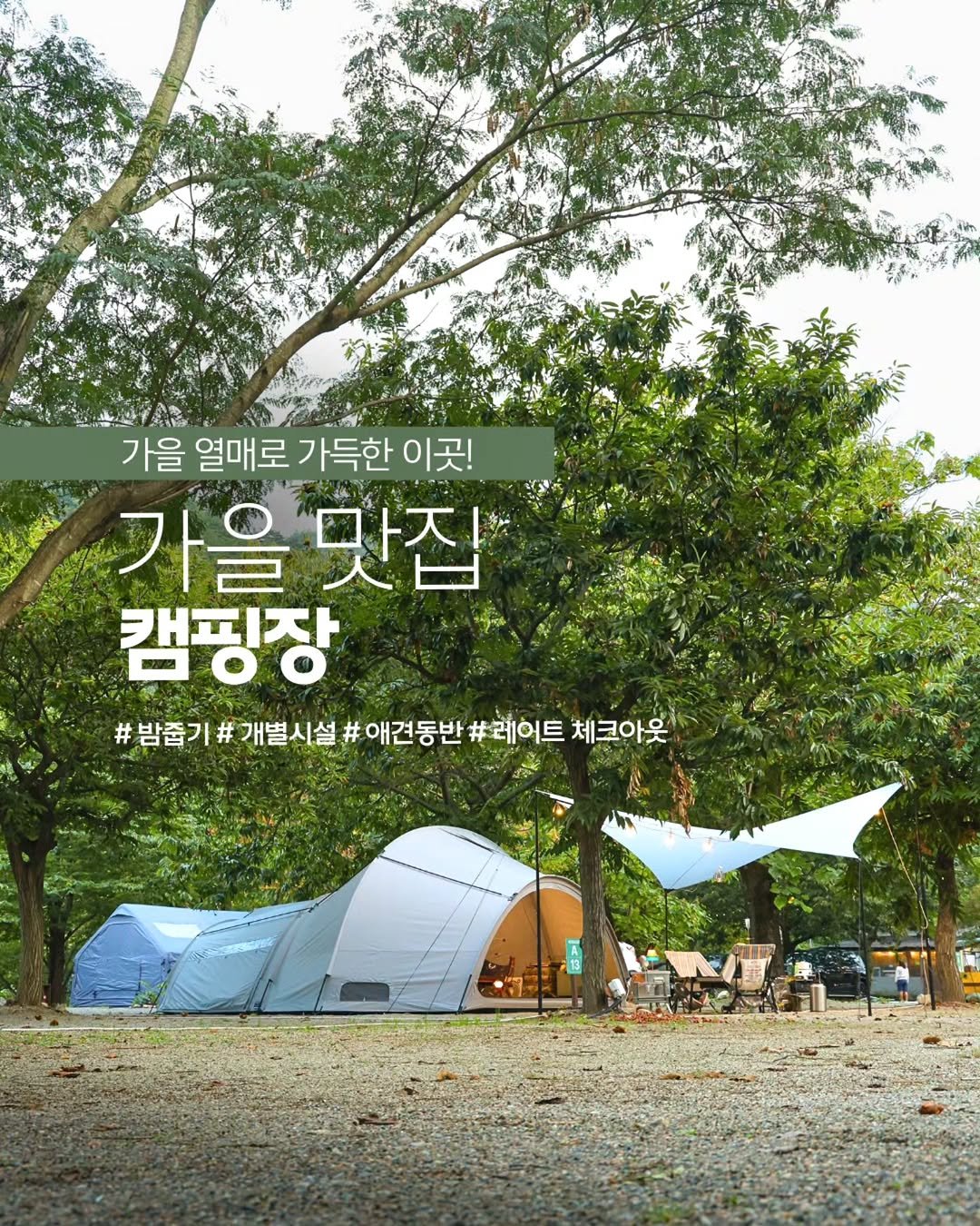 Photo shared by 러블리연 | 늘 함께하는 가족 캠핑 👨‍👩‍👦‍👦
감성캠핑▪️캠핑정보▪️캠핑장▪️여행 on October 14, 2025 tagging @graega_official. May be an image of campsite, outdoors and text that says '가을 열매로 매로가득한이곳! 가득한 이곳! 가을 을맛집 캠핑장 #밤줍기# 개별시설 # 밤즐기#개별시설#에건동반#레이트치 애견동반 애견동반#레어트 #레어트 체크아웃'.