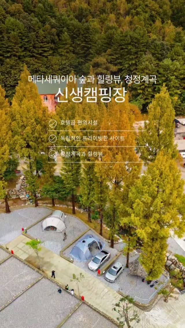 so.sweet_day 게시물 이미지: 🌳쭉쭉 뻣은 메타세쿼이어 숲에서 가을 즐기기 🌲 

오픈한지 얼마안된...