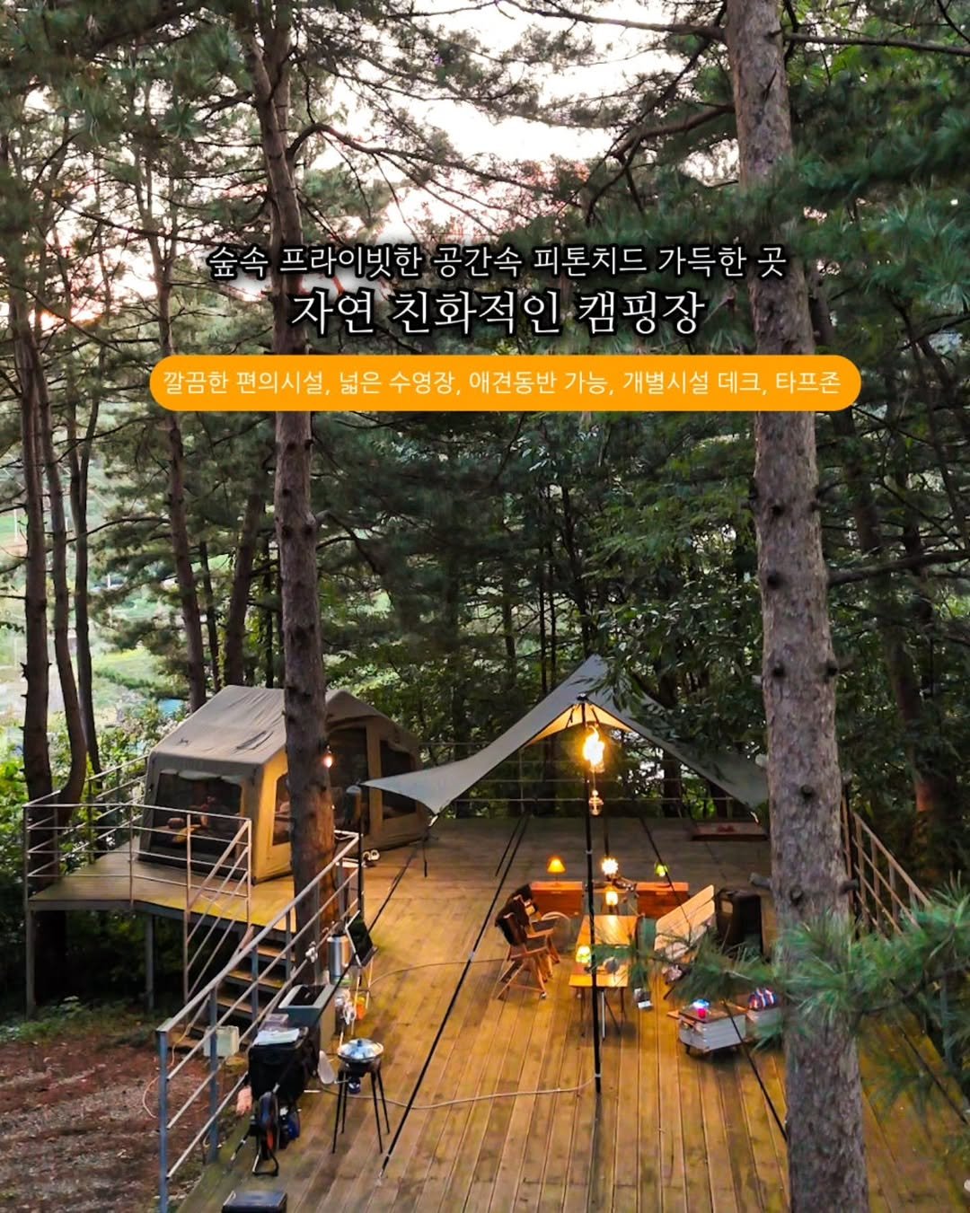 Photo shared by 러블리연 | 늘 함께하는 가족 캠핑 👨‍👩‍👦‍👦
감성캠핑▪️캠핑정보▪️캠핑장▪️여행 on September 18, 2025 tagging @graega_official. May be an image of 1 person, camping, tent, tree house and text that says '金今 프라이빗한 공간속 피톤치드 가득한 곳 자연 친화적인 친화 적인 캠핑장 Cи 깔끔한 편의시설, 넓은 수영장, 애견동반 가능, 개별시설 데크 개별시설데크,타프존 타프존 vng'.